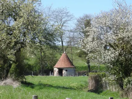 Maison de caractère avec jardin, climatisation et vélos près d'Amboise - Photo 27