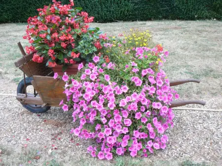 Maison de caractère avec jardin, climatisation et vélos près d'Amboise - Photo 28