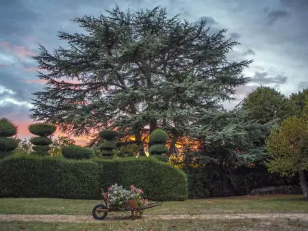 Maison de caractère avec jardin, climatisation et vélos près d'Amboise - Photo 31