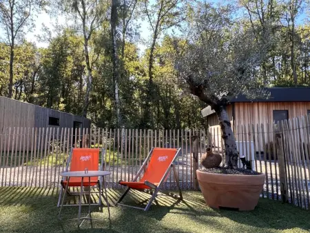 Maison avec 4 vélos électriques offerts, lisière de forêt à Zutendaal : photo 32