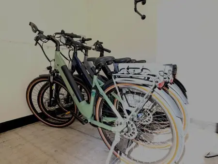 Maison avec 4 vélos électriques offerts, lisière de forêt à Zutendaal : photo 46