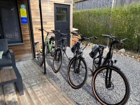 Maison avec 4 vélos électriques offerts, lisière de forêt à Zutendaal : photo 47