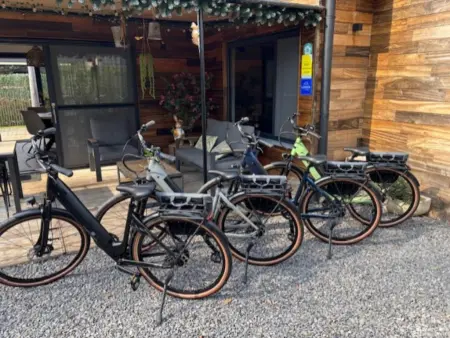 Maison avec 4 vélos électriques offerts, lisière de forêt à Zutendaal : photo 48