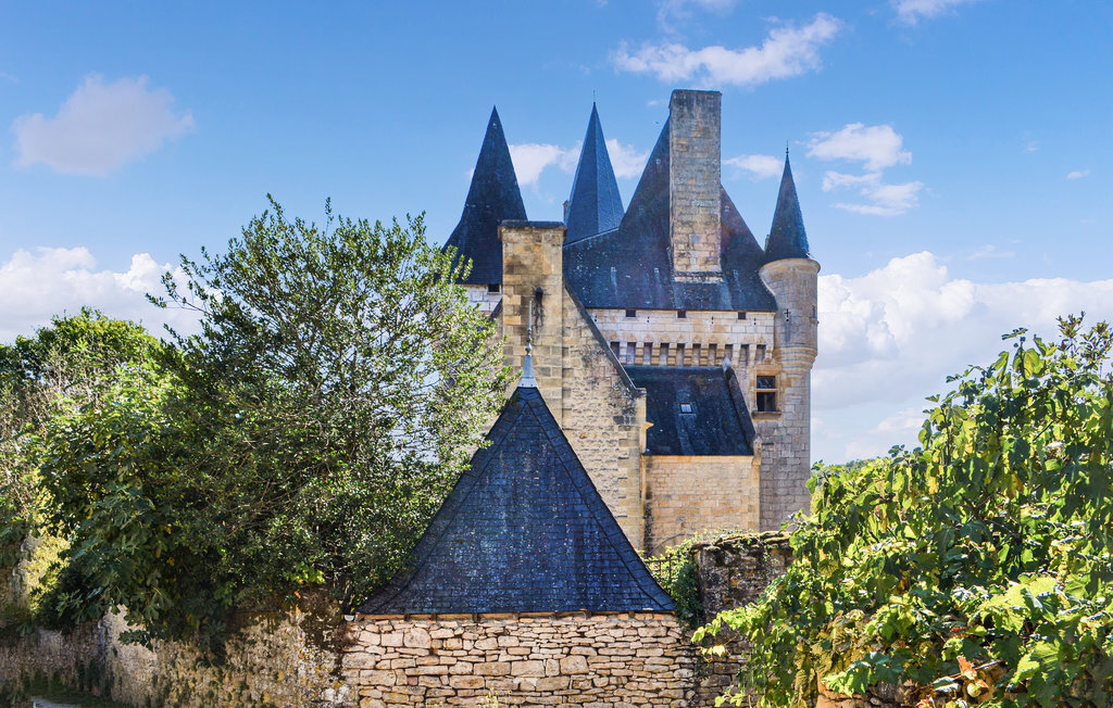 Maison en pierre avec jardin de 2000 m² à Saint Leon sur Vezere - Photo 17