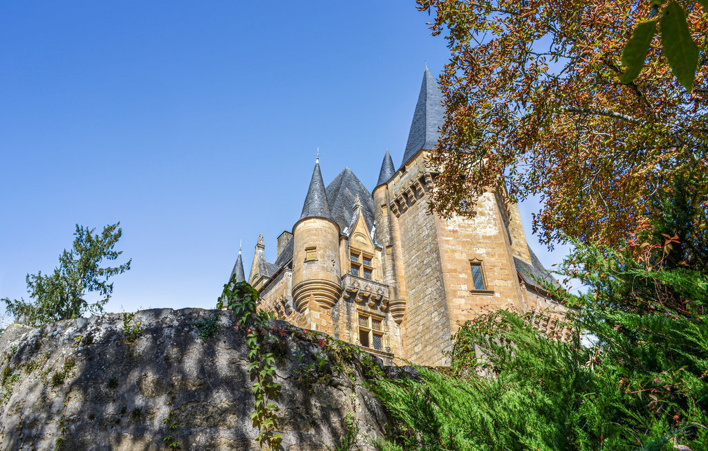 Maison en pierre avec jardin de 2000 m² à Saint Leon sur Vezere - Photo 19