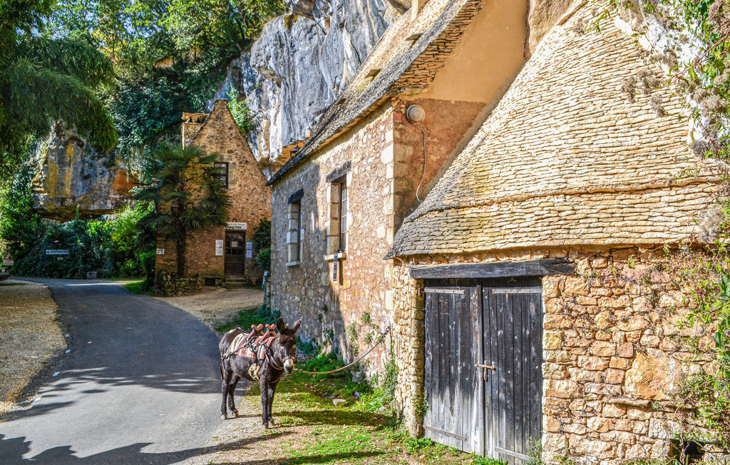 Maison en pierre avec jardin de 2000 m² à Saint Leon sur Vezere - Photo 20