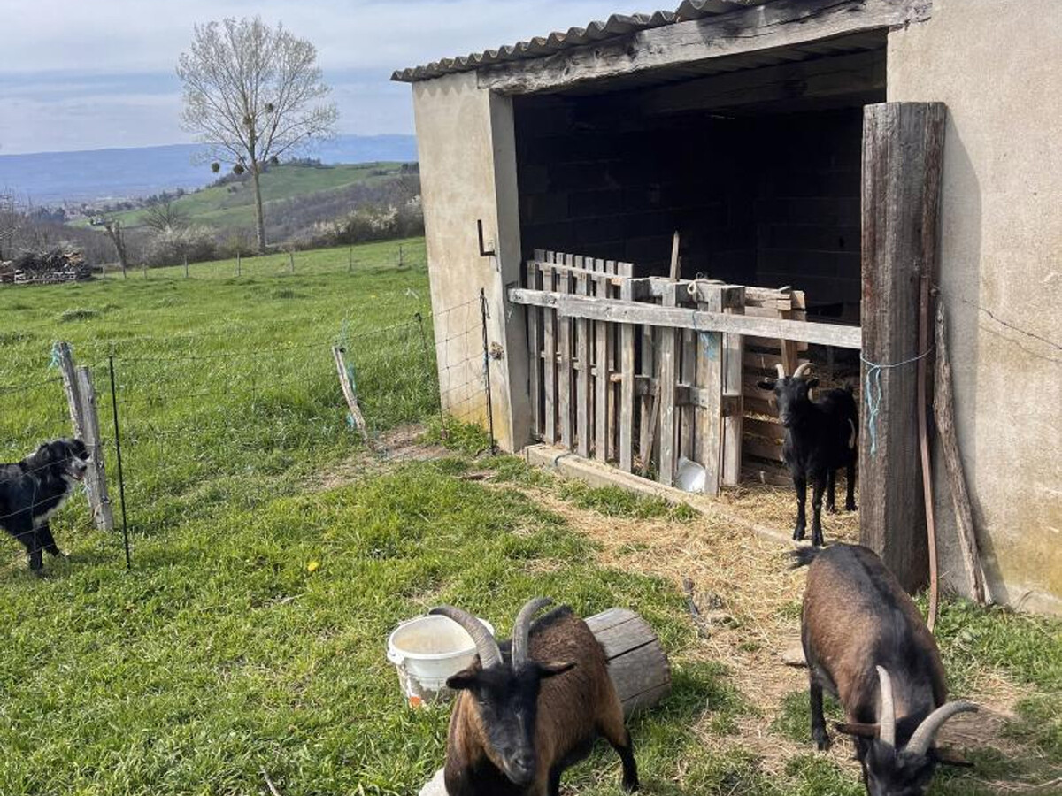 Gîte 6 pers. avec cheminée et terrain de jeux à Saint-Médard - Photo 17