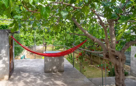 Maison 4 personnes à Pridraga - Photo 1
