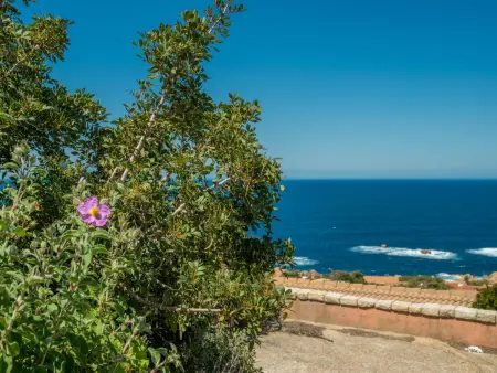 Villa Ilaria - Maison 6 pers. vue mer à Costa Paradiso : photo 30