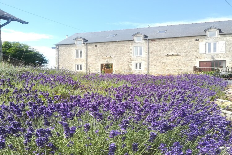 The Hayloft, maison pierre 7 personnes avec vue vallée - Photo 35