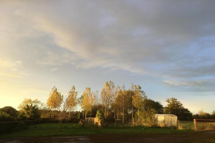 The Dairy - Maison en pierre Sainte-Marguerite-d'Elle - Photo 20