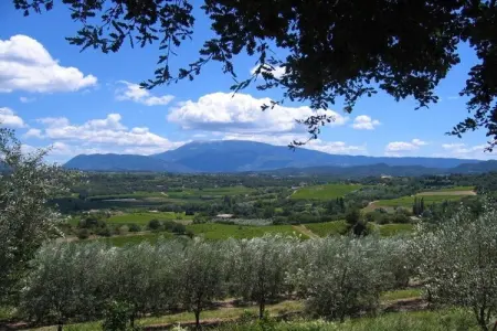 Maison plain-pied avec piscine privée à Vaison-la-Romaine : photo 21