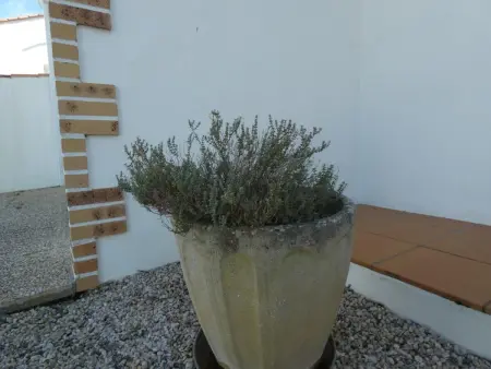 Maison 6 pers. jardin clos à 1,2 km des plages : photo 29