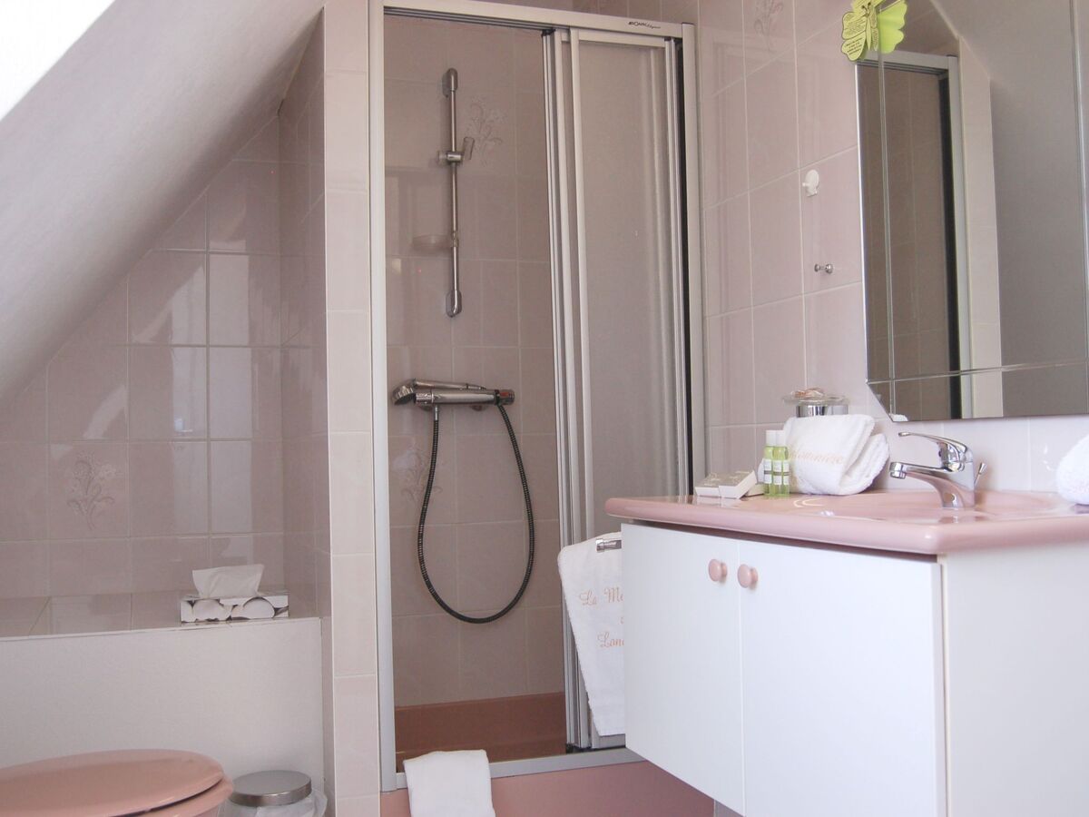Maison 160 m² dans une malouinière du 18e siècle – St Jouan - Photo 35