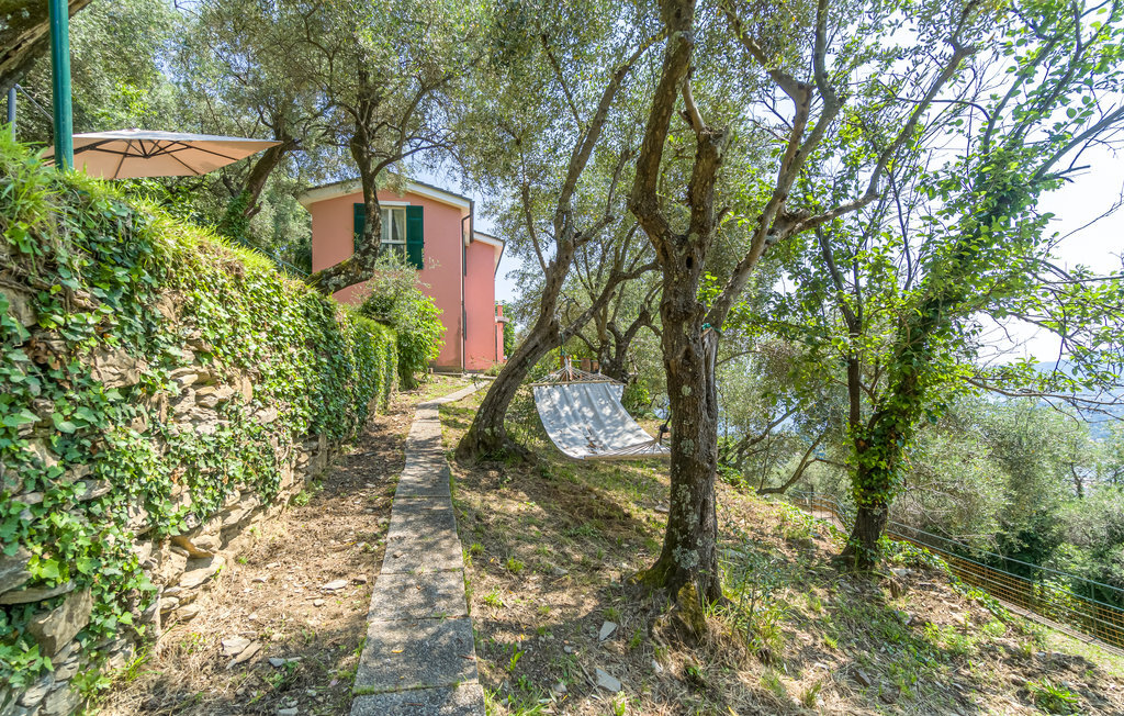 Maison vue mer à Rapallo, terrasse panoramique - Photo 20
