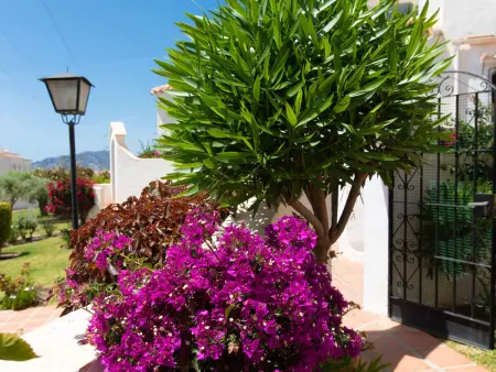 Las Golondrinas, maison 2 chambres près plage à Nerja - Photo 14
