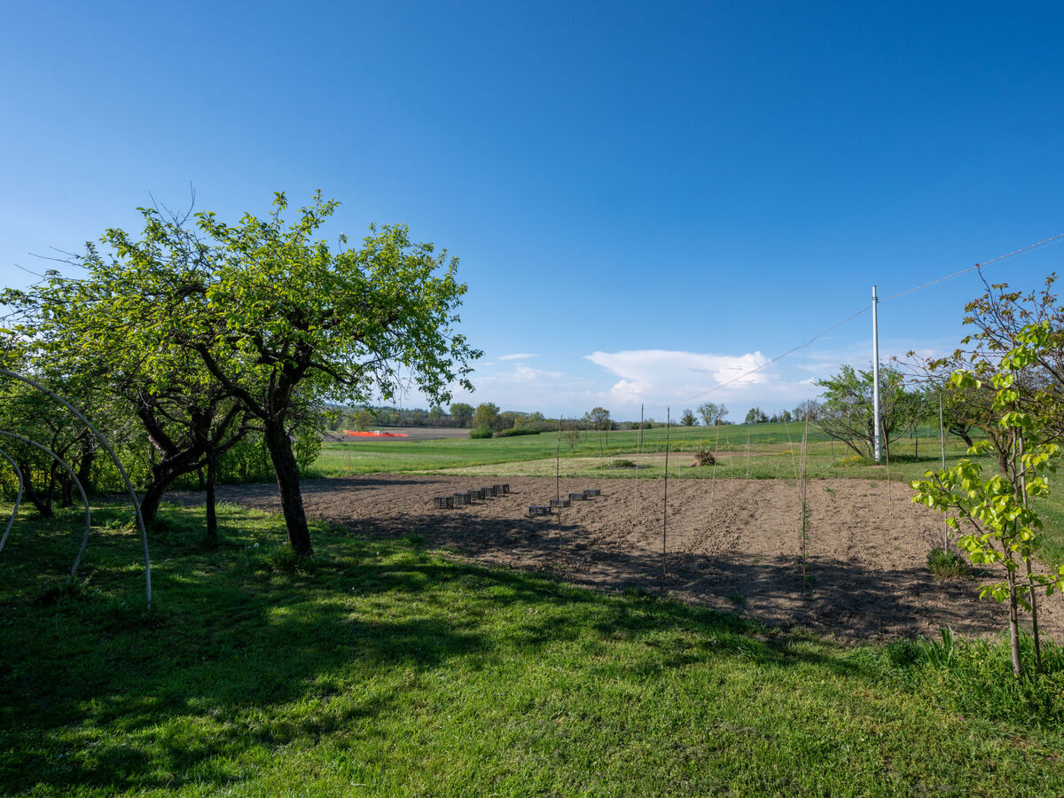 Raggio di Sole, maison rénovée 2022 à Pontestura - Photo 31