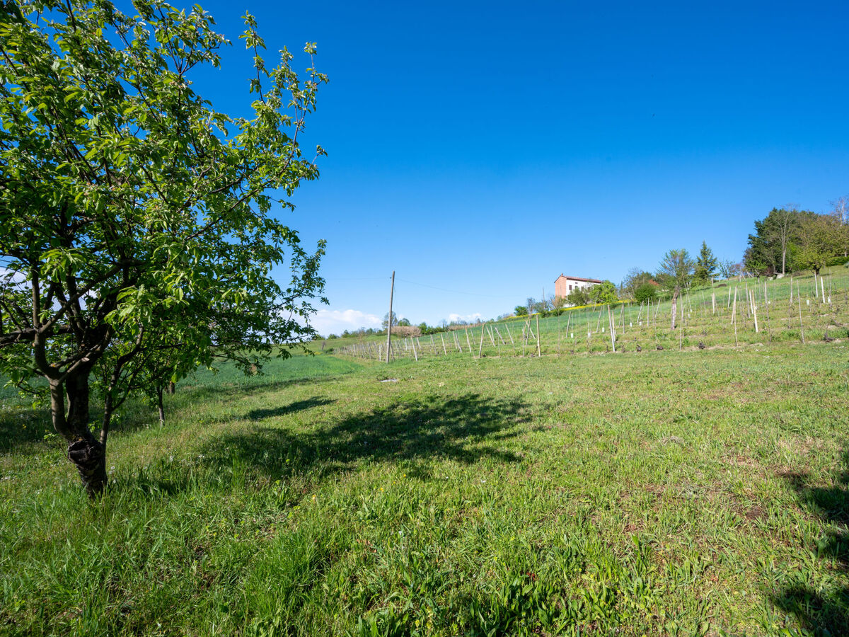 Raggio di Sole, maison rénovée 2022 à Pontestura - Photo 32