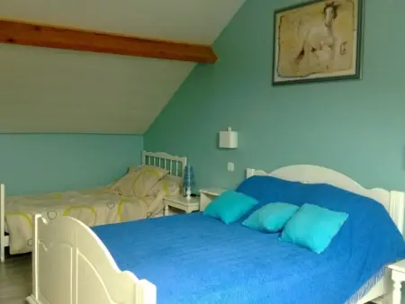 Grande maison de campagne avec jardin, terrasse, accueil chevaux, proche plage de Wissant, animaux OK - Photo 8