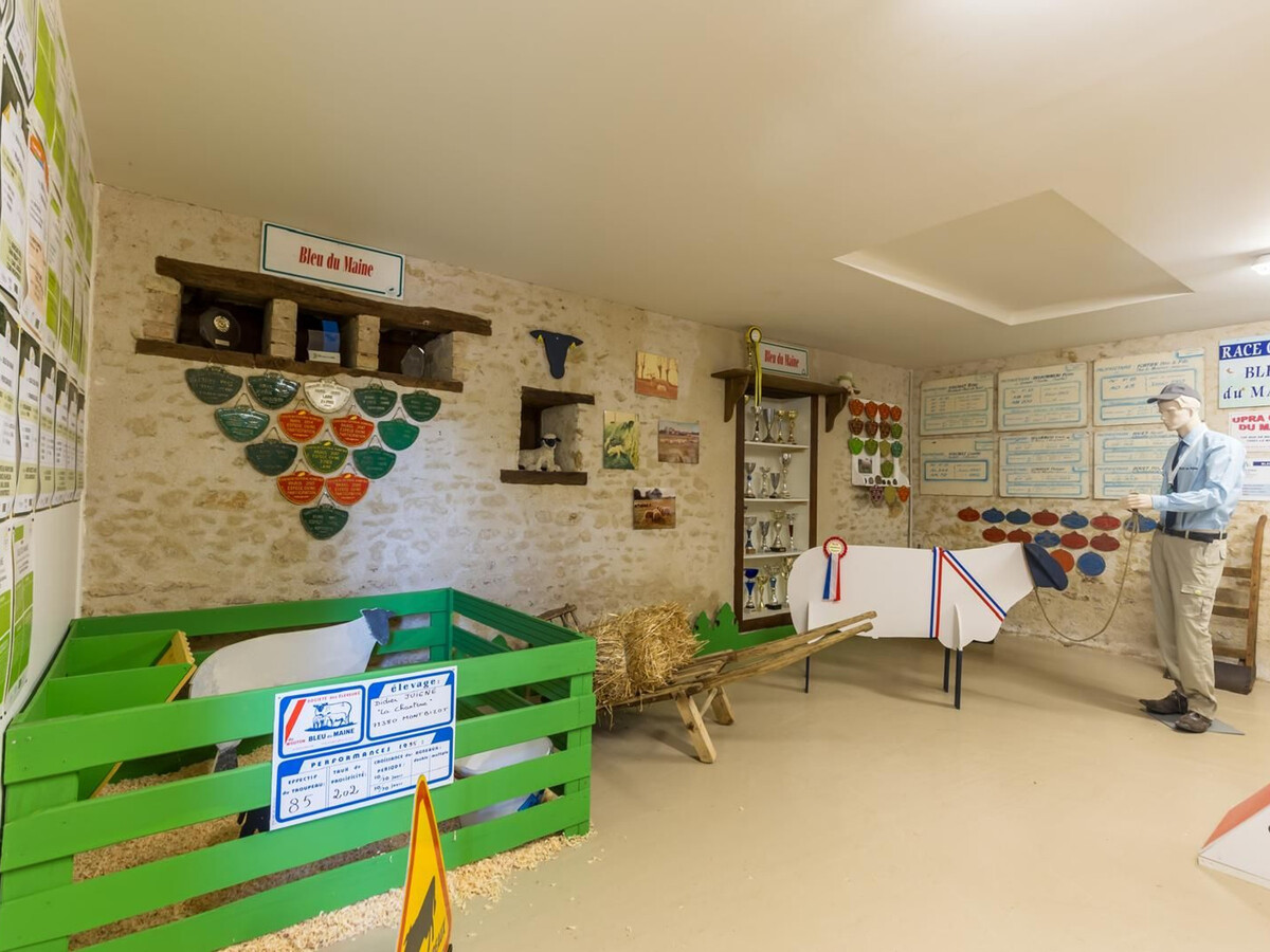 Gîte de la Chanterie : 2 pers., terrasse et jardin à Montbizot - Photo 15