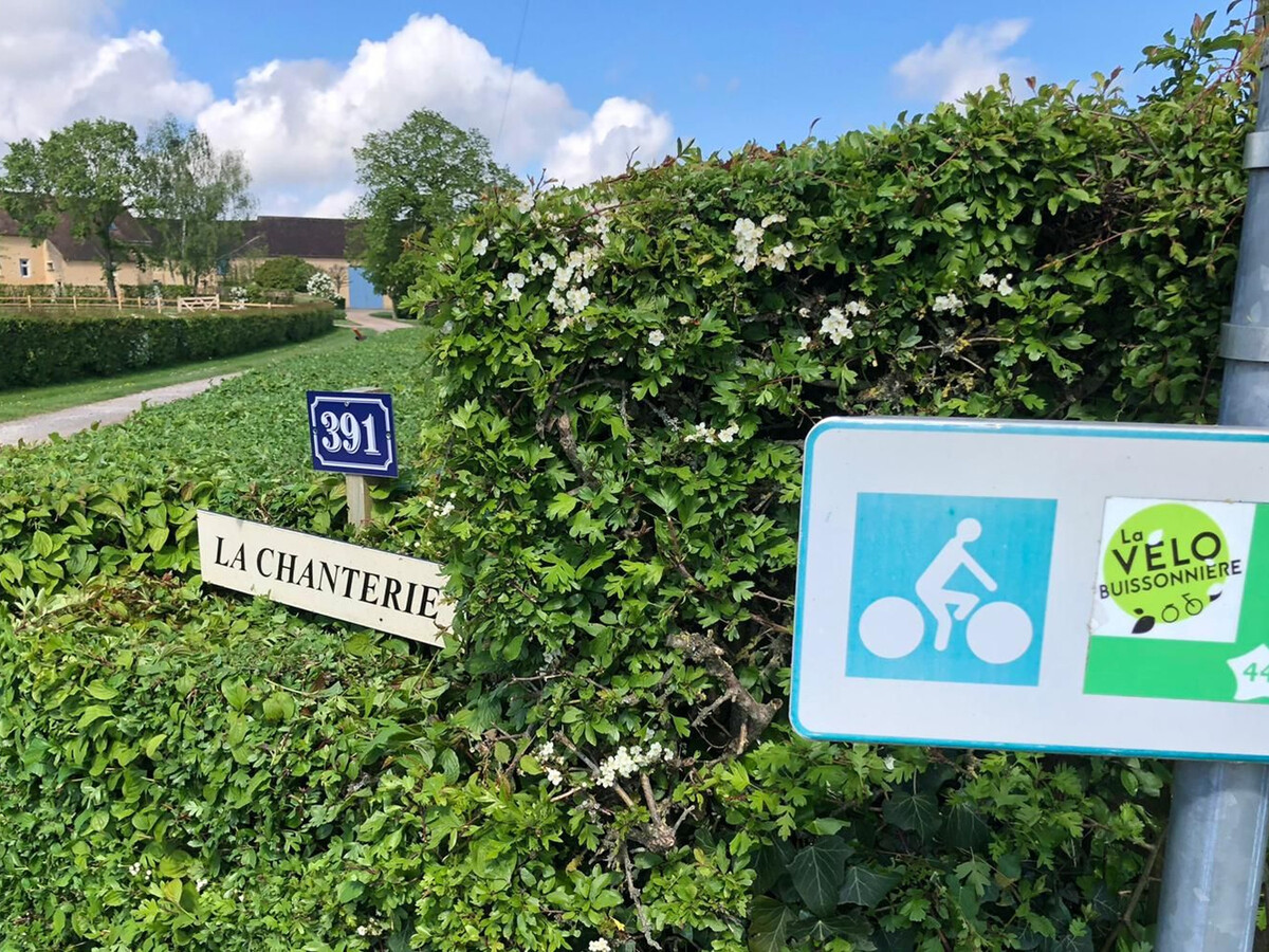 Gîte de la Chanterie : 2 pers., terrasse et jardin à Montbizot - Photo 17