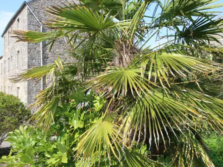 Maison en pierre 6 pers. aux Pieux, jardin privé et poêle : photo 14