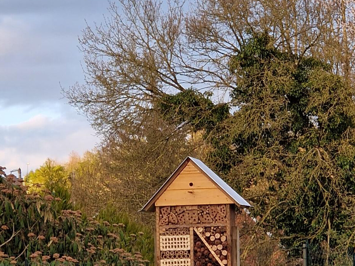 Gîte La Maison des Délices à Dosches, forêt et lac - Photo 23