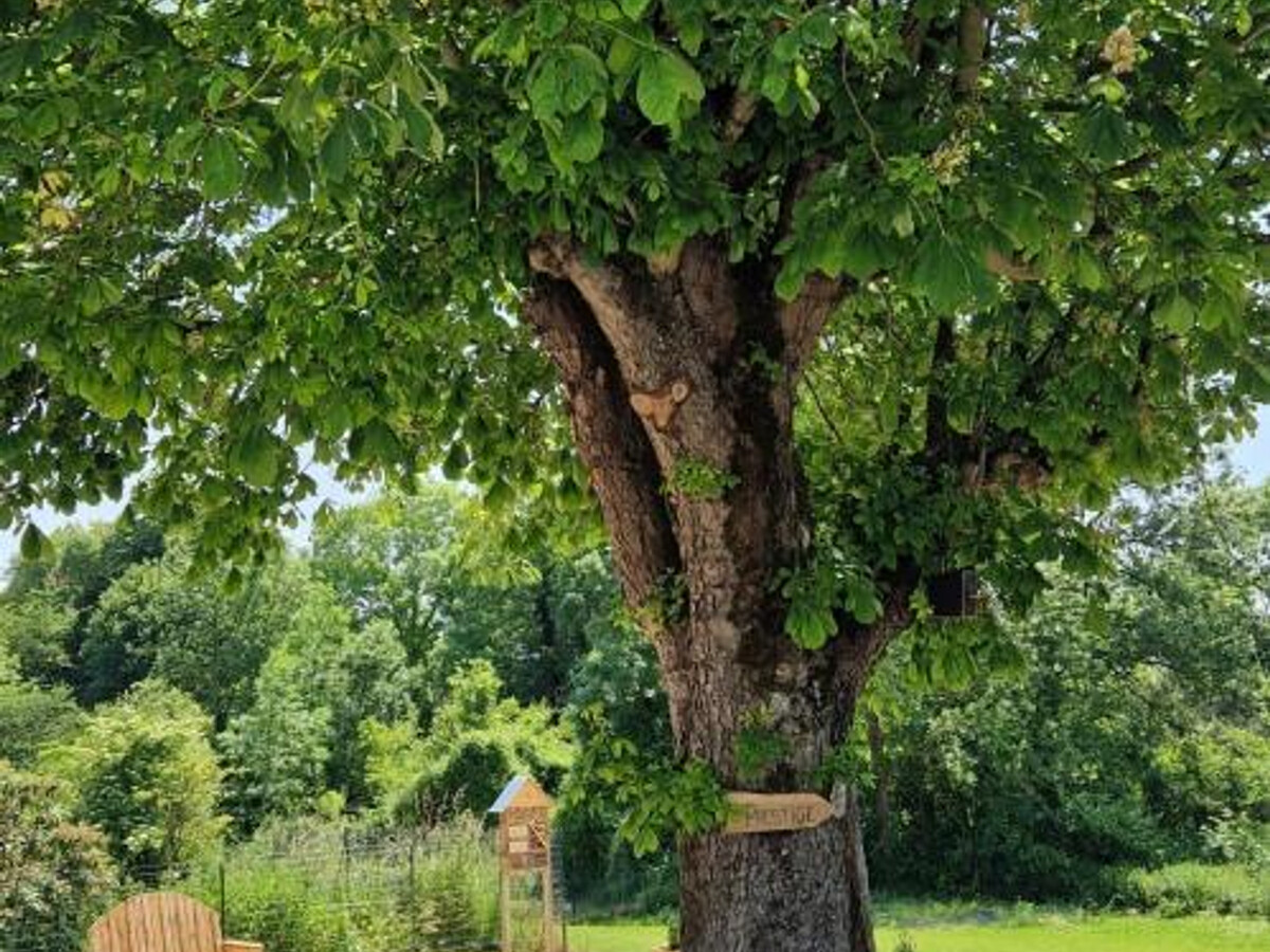 Gîte La Maison des Délices à Dosches, forêt et lac - Photo 24