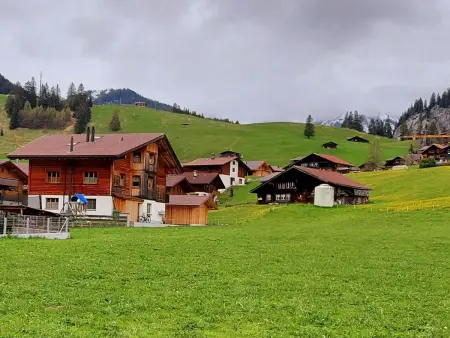 Lärchehuus, Appartement 2 personnes à Adelboden - Photo 3