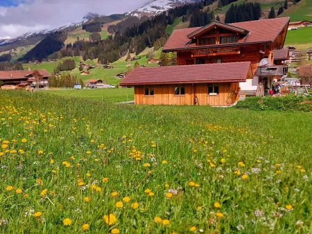 Lärchehuus, Appartement 2 personnes à Adelboden - Photo 4