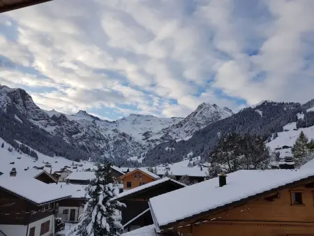 Lärchehuus, Appartement 2 personnes à Adelboden - Photo 6
