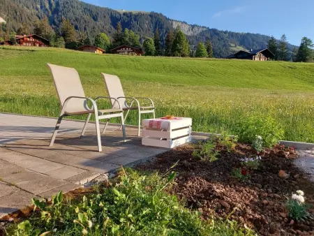 Lärchehuus, Appartement 2 personnes à Adelboden - Photo 17