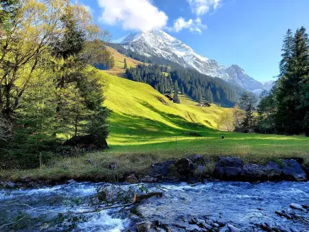 Lärchehuus, Appartement 2 personnes à Adelboden - Photo 18