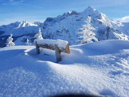 Lärchehuus, Appartement 2 personnes à Adelboden - Photo 19