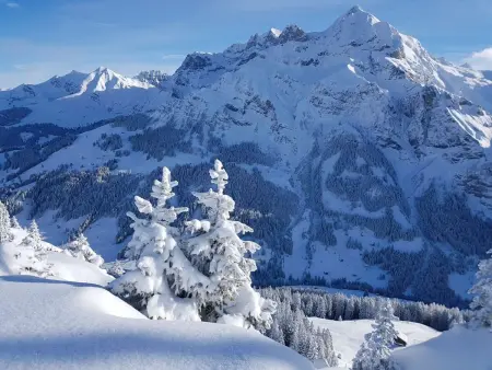 Lärchehuus, Appartement 2 personnes à Adelboden - Photo 20
