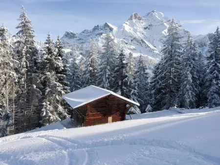 Lärchehuus, Appartement 2 personnes à Adelboden - Photo 21
