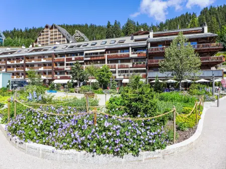 Location appartement à Crans Montana, Les Vignettes 42