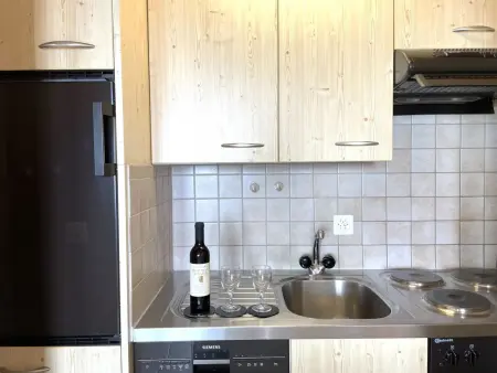 Konkordia 1 EG Süd, Appartement 4 personnes à Bettmeralp - Photo 6