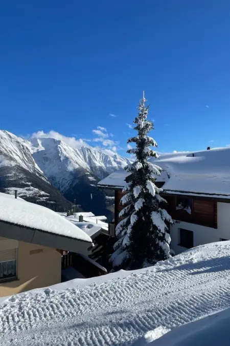 Konkordia 1 EG Süd, Appartement 4 personnes à Bettmeralp - Photo 10