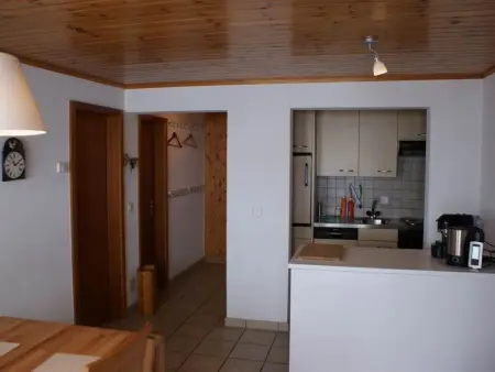 Konkordia 1 EG Süd, Appartement 4 personnes à Bettmeralp - Photo 17