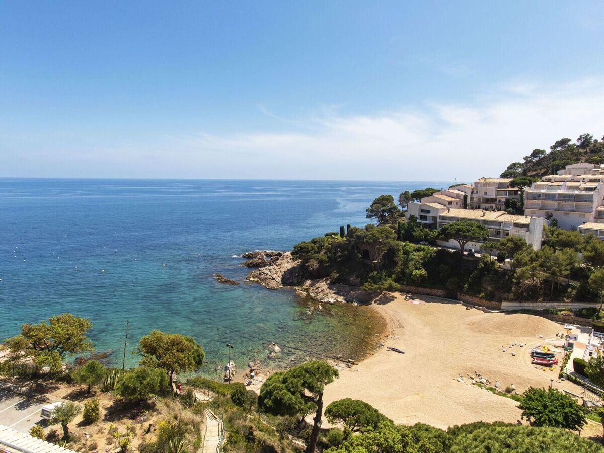 Appartement Willis à Cala Salionç, 50 m de la mer - Photo 1