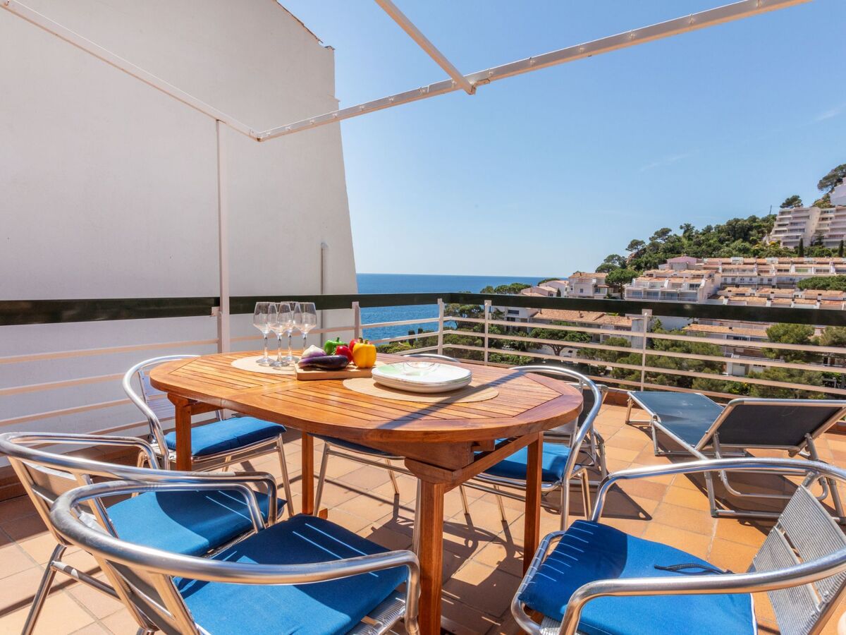 Appartement Willis à Cala Salionç, 50 m de la mer - Photo 3