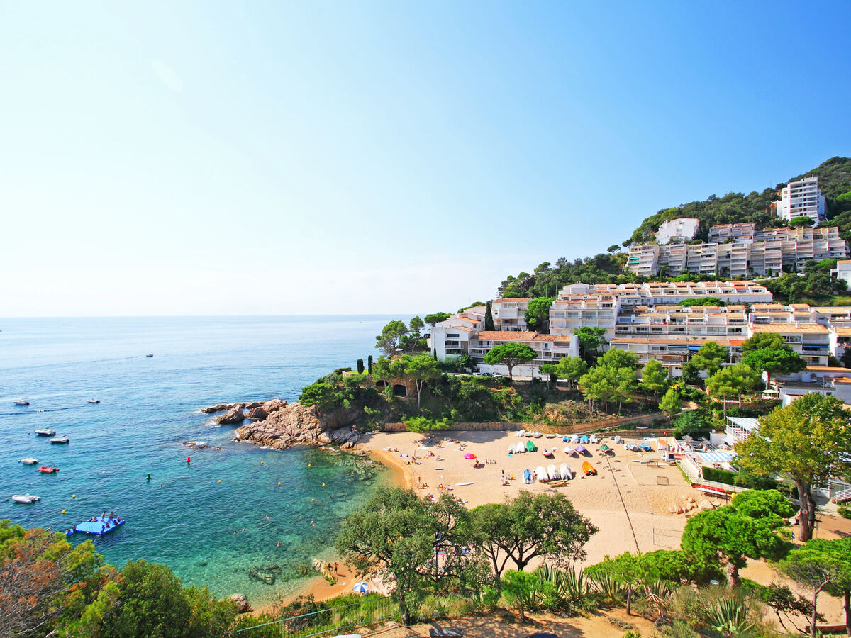 Appartement Willis à Cala Salionç, 50 m de la mer - Photo 16