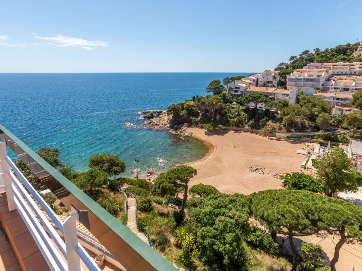 Appartement Willis à Cala Salionç, 50 m de la mer - Photo 18