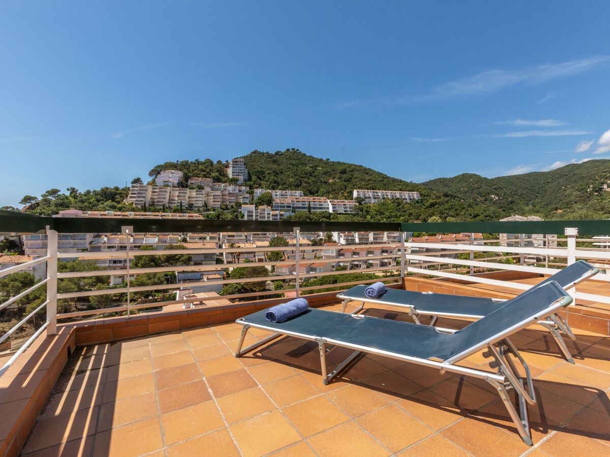 Appartement Willis à Cala Salionç, 50 m de la mer - Photo 19