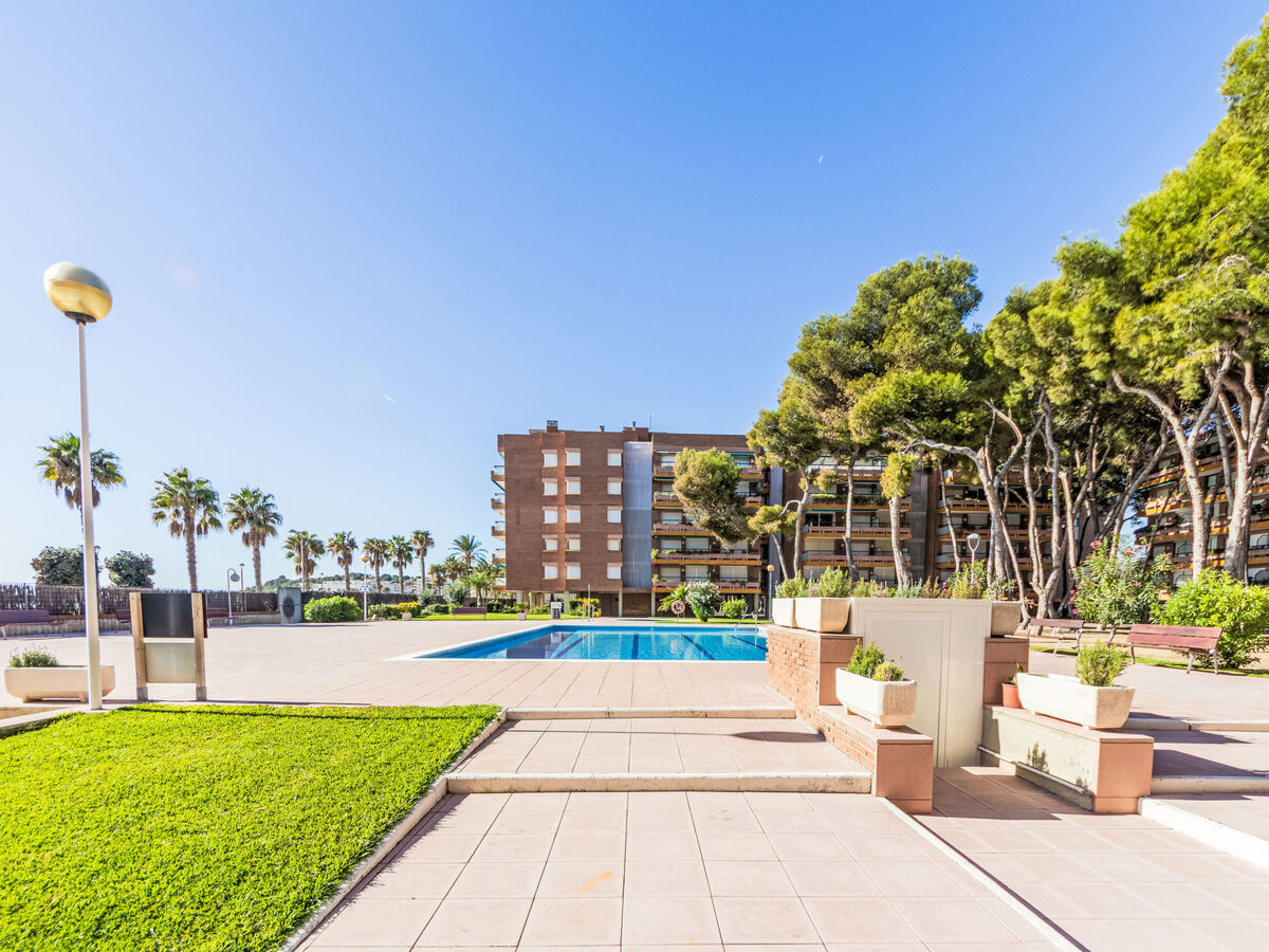 Els Pins Atico, appartement 8 pers. à 20 m de la plage - Photo 36