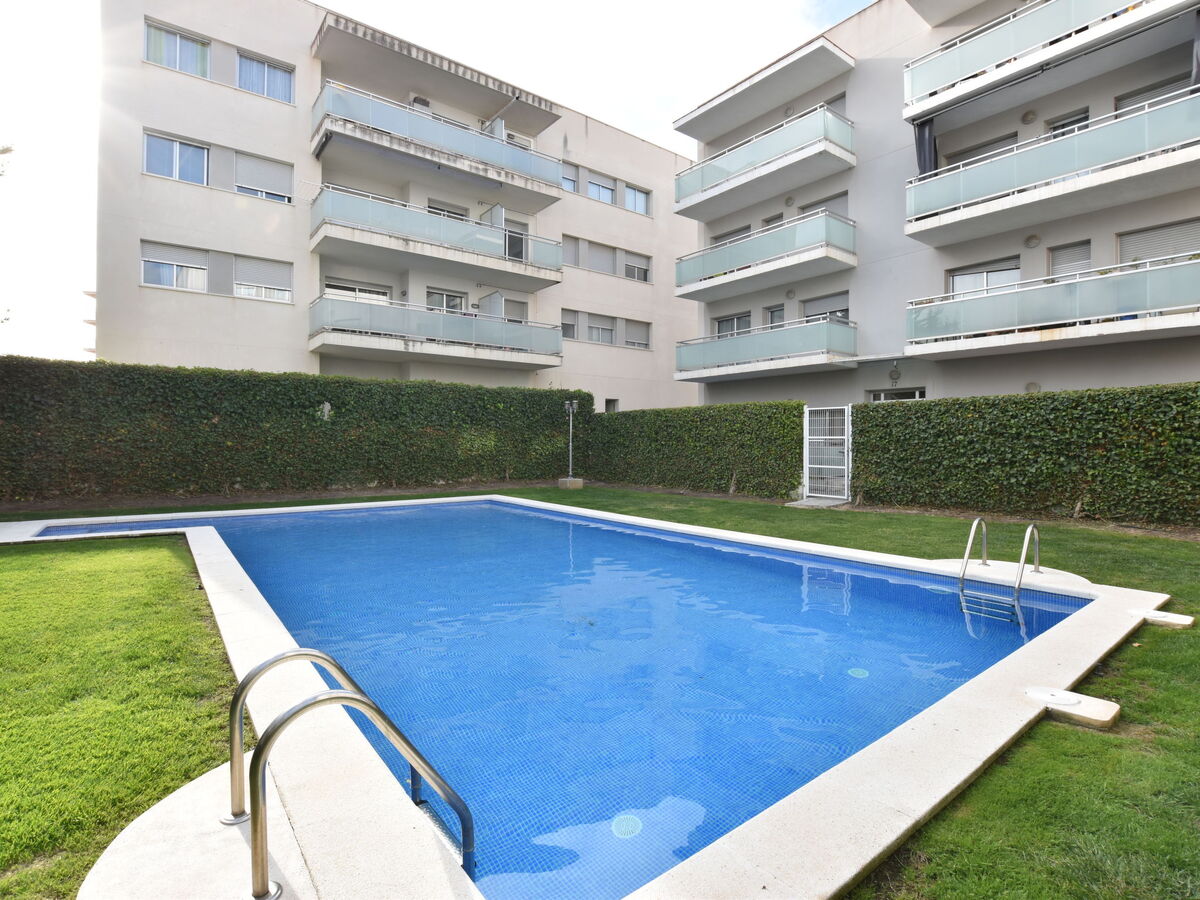 Oliveres - Appartement 6 pers. à 400 m de la mer - Photo 2
