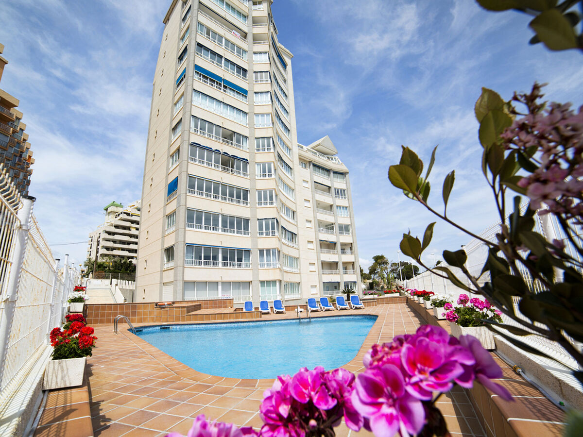 Appartement Orellana – 12ème étage, vue mer panoramique - Photo 5