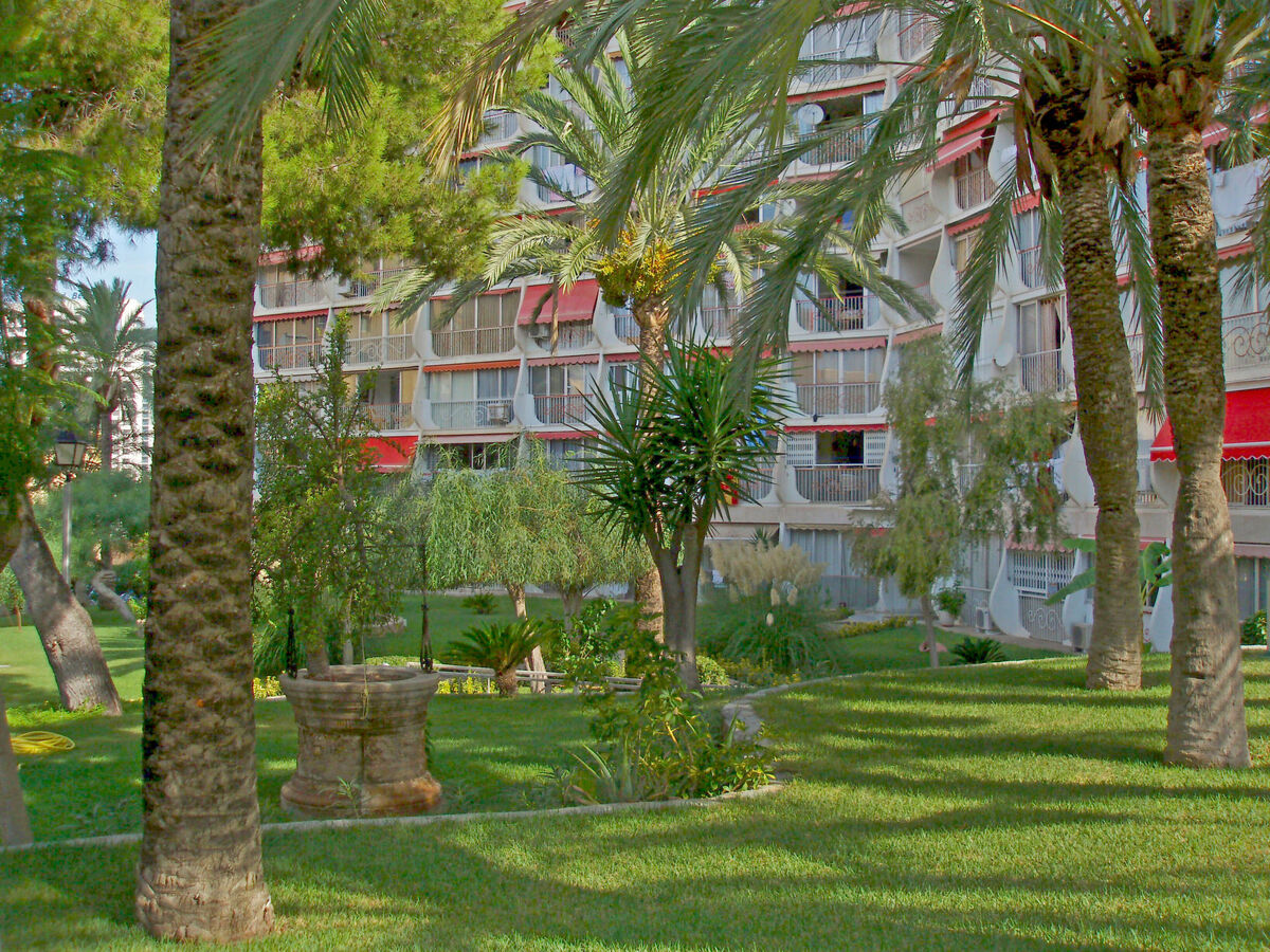 Park Playa Levante, apt 4 pers. à Benidorm - Photo 17