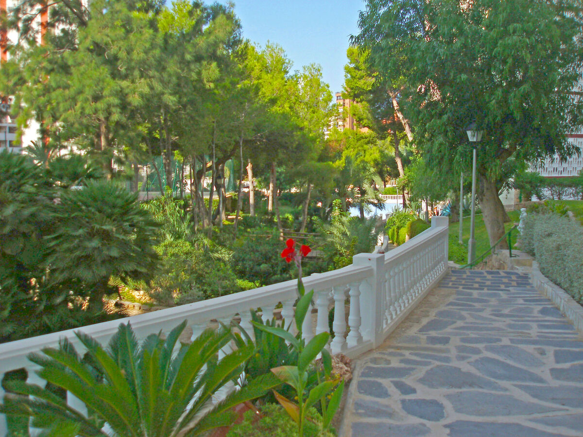 Park Playa Levante, apt 4 pers. à Benidorm - Photo 19
